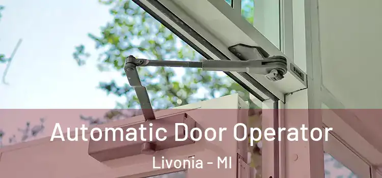 Automatic Door Operator Livonia - MI