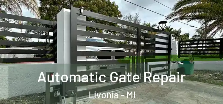  Automatic Gate Repair Livonia - MI