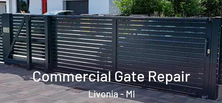 Commercial Gate Repair Livonia - MI