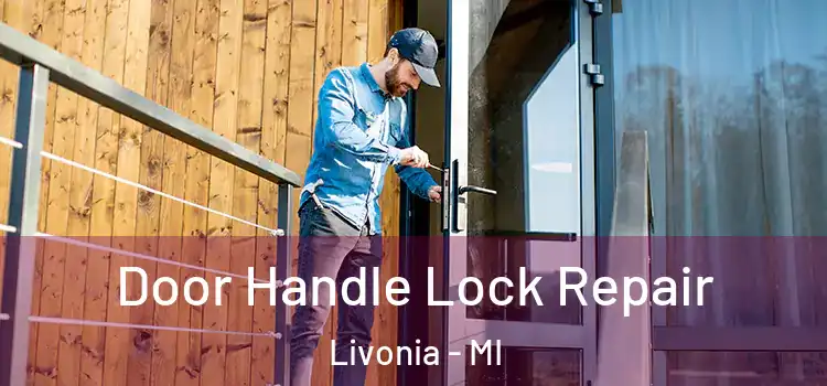 Door Handle Lock Repair Livonia - MI