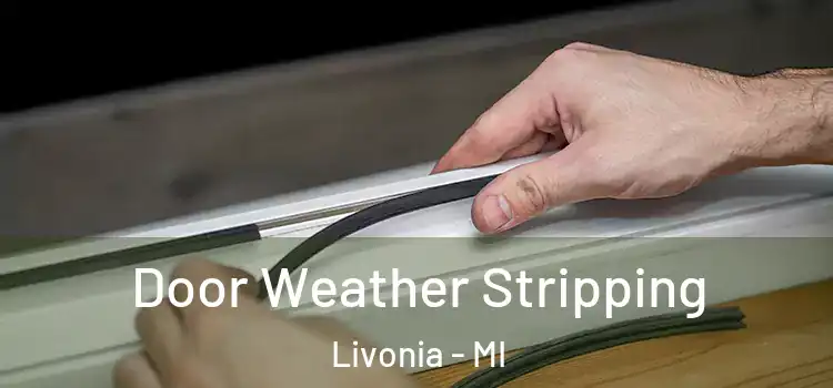 Door Weather Stripping Livonia - MI