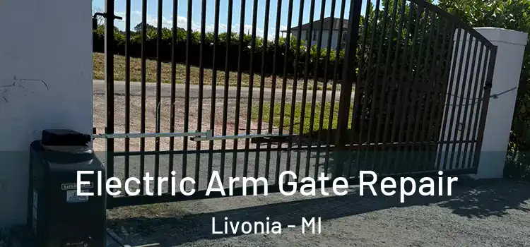 Electric Arm Gate Repair Livonia - MI