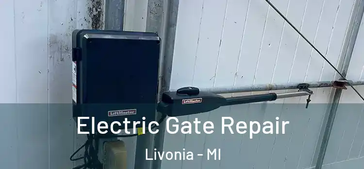 Electric Gate Repair Livonia - MI