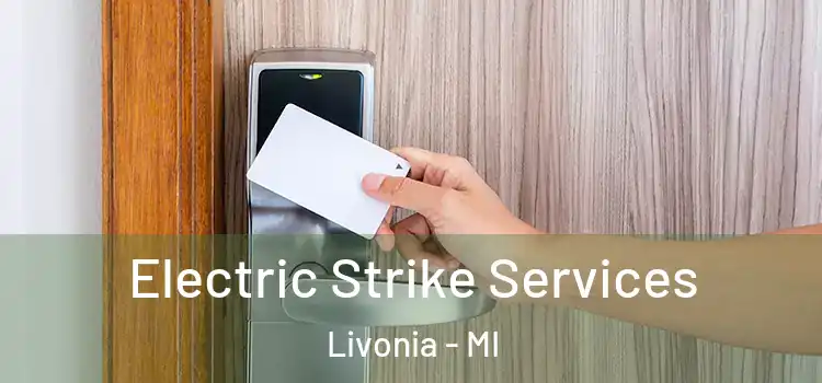 Electric Strike Services Livonia - MI