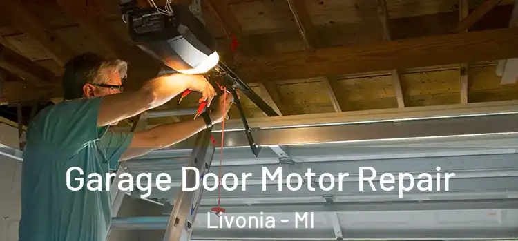  Garage Door Motor Repair Livonia - MI