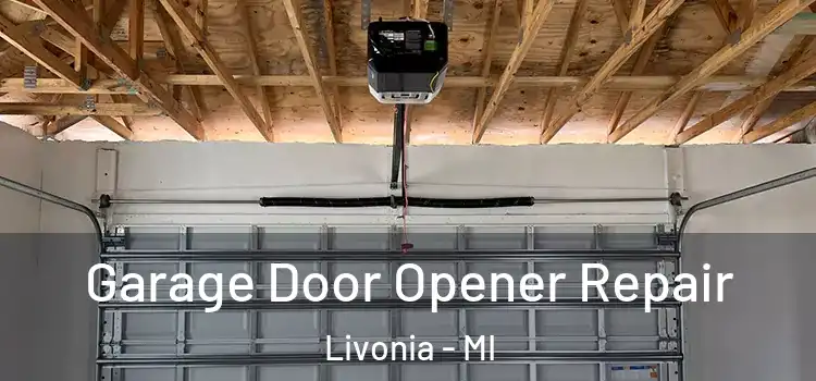  Garage Door Opener Repair Livonia - MI