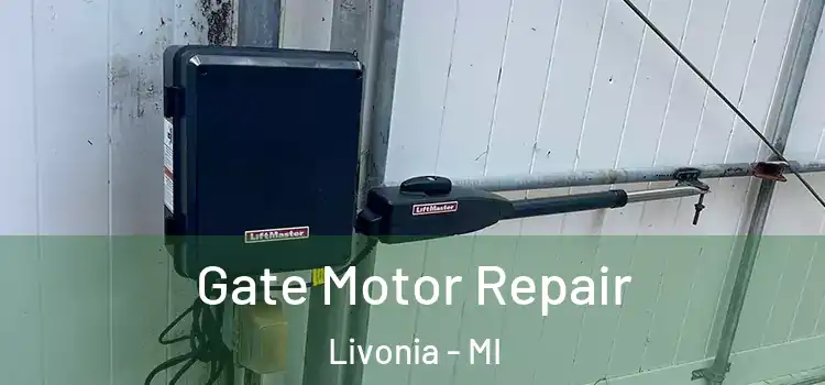Gate Motor Repair Livonia - MI