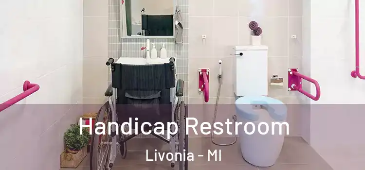  Handicap Restroom Livonia - MI