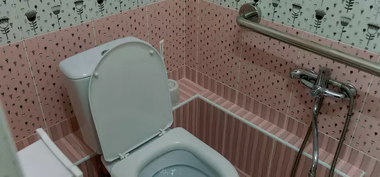 Meeting Diverse Needs With Accessible Restroom Solutions in Livonia, MI