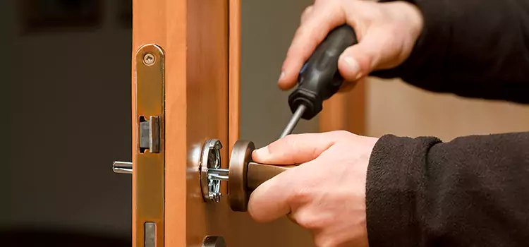 Rekey Car Locks Livonia