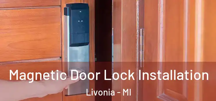  Magnetic Door Lock Installation Livonia - MI