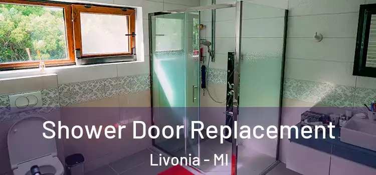  Shower Door Replacement Livonia - MI