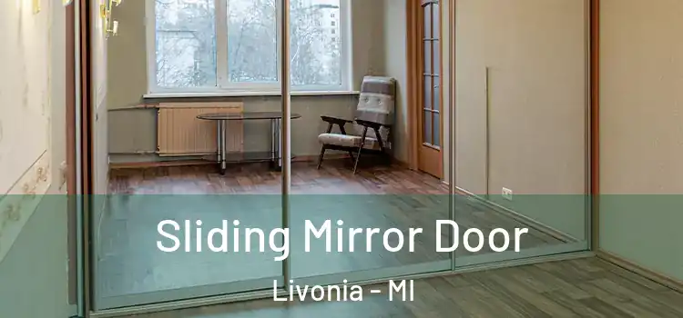  Sliding Mirror Door Livonia - MI
