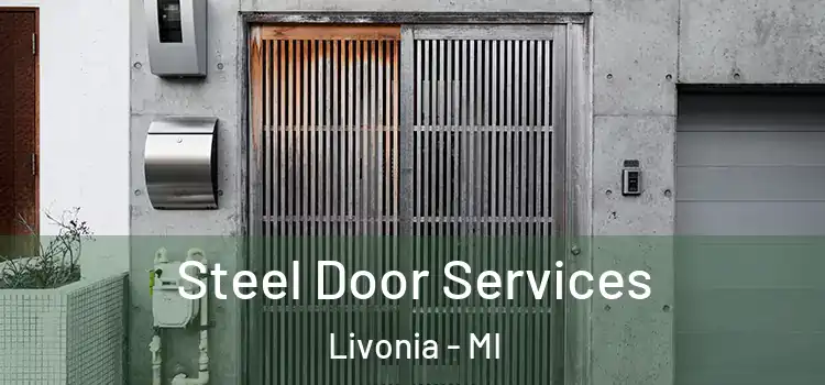 Steel Door Services Livonia - MI