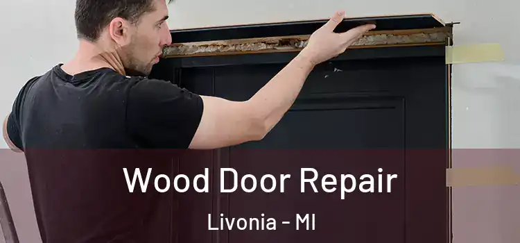 Wood Door Repair Livonia - MI